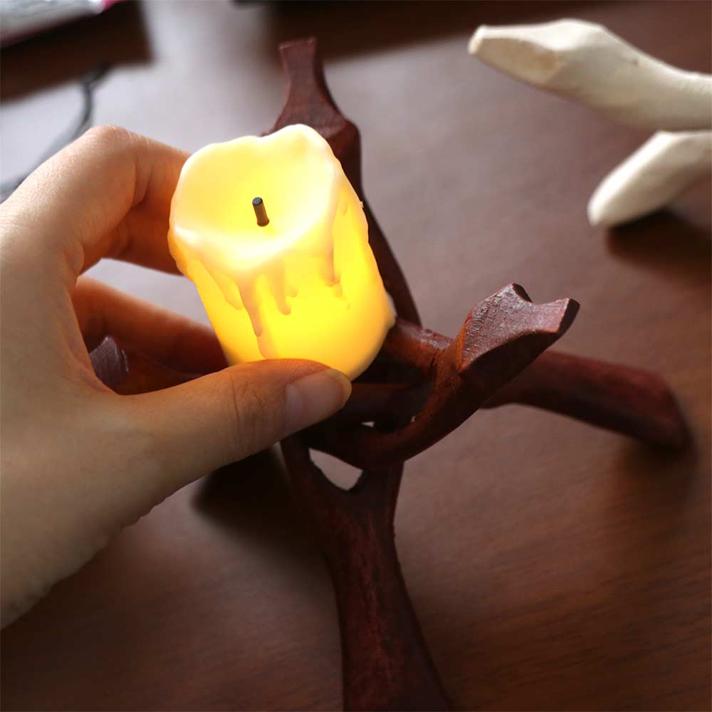 حامل أصداف الأبالون متعدد الاس - مراجعة Incense Holder وسعره